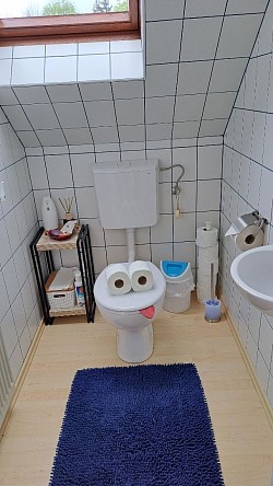Seperate Toilette mit kleinem Waschbecken