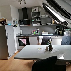 Küche mit Backofen, Kühlschrank, Geschirrspüler und vieles mehr