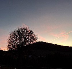 Ausblick